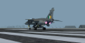 Indian Jaguar